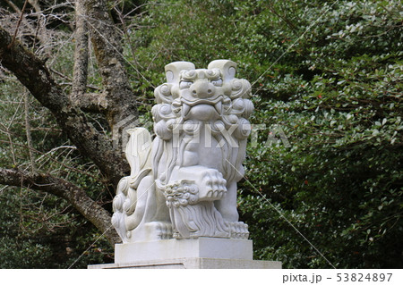 香取神宮　狛犬 53824897