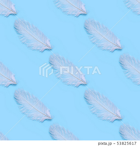 Seamless pattern of white swan feathers on a blue Seamless pattern of white swan feathers on a blue 53825617