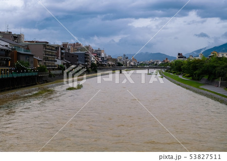 京都 増水した鴨川 清水五条 53827511