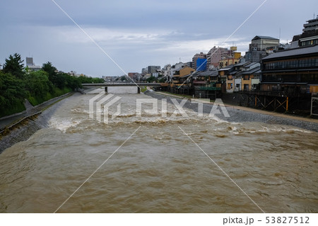 京都 増水した鴨川 祇園四条 53827512
