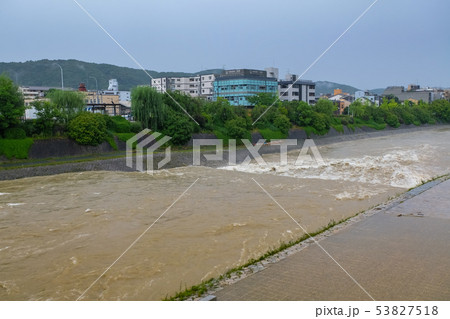 京都 増水した鴨川 祇園四条 53827518