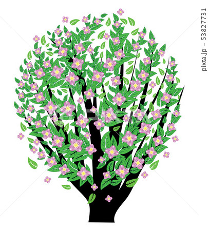 Bush with pink blossom Bush with pink blossom 53827731