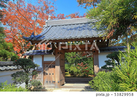 【京都府】源光庵の紅葉 【京都府】源光庵の紅葉 53829958