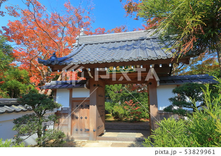 【京都府】源光庵の紅葉 【京都府】源光庵の紅葉 53829961