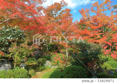 【京都府】源光庵　中庭の紅葉 53829971