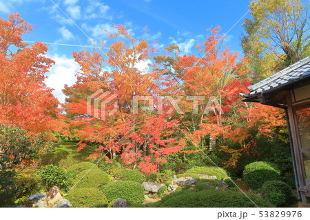 【京都府】源光庵　中庭の紅葉 53829976