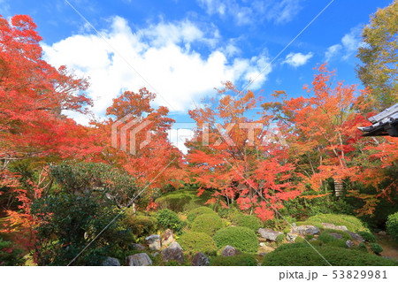 【京都府】源光庵　中庭の紅葉 53829981