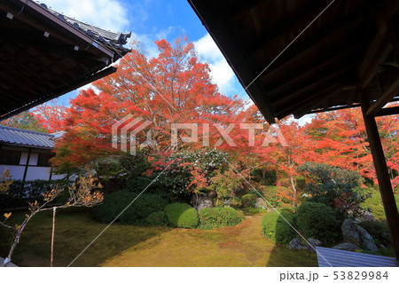 【京都府】源光庵　中庭の紅葉 53829984