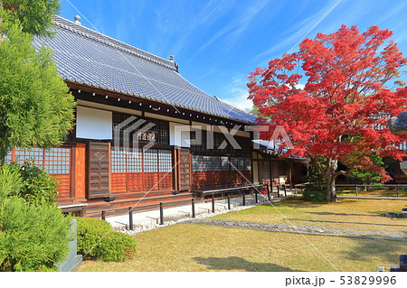 【京都府】源光庵 本堂の紅葉 【京都府】源光庵 本堂の紅葉 53829996