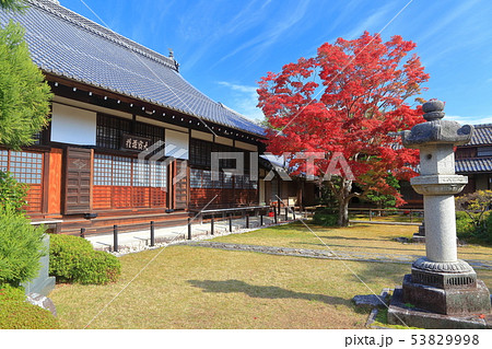【京都府】源光庵 本堂の紅葉 【京都府】源光庵 本堂の紅葉 53829998