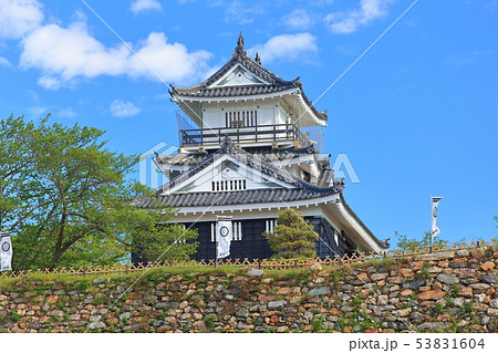 静岡県 新緑の浜松城の写真素材