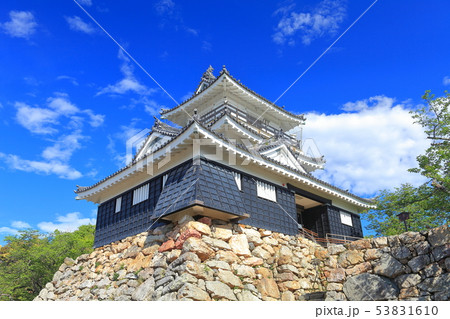 【静岡県】新緑の浜松城 【静岡県】新緑の浜松城 53831610