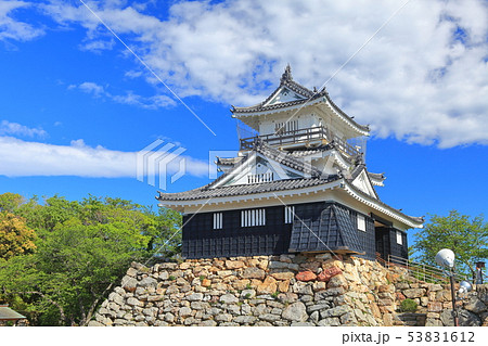 【静岡県】新緑の浜松城 53831612