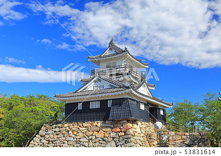 【静岡県】新緑の浜松城 53831614