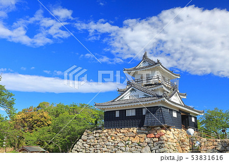 静岡県 新緑の浜松城の写真素材