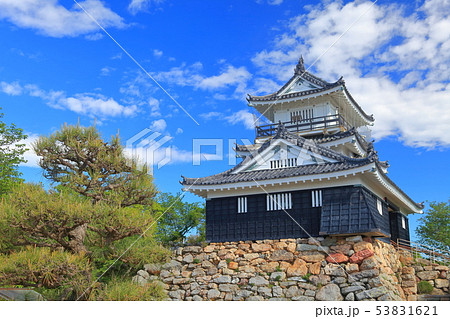 【静岡県】新緑の浜松城 【静岡県】新緑の浜松城 53831621