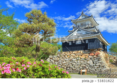 【静岡県】新緑の浜松城 53831622