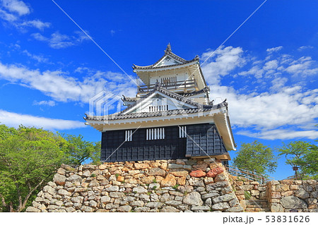 【静岡県】新緑の浜松城 53831626