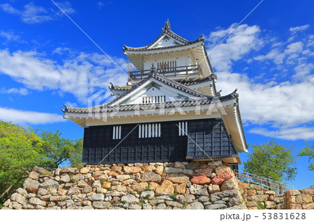 静岡県 新緑の浜松城の写真素材