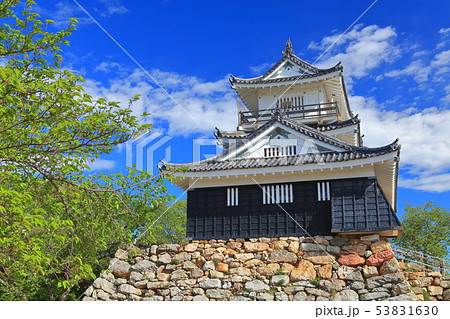 【静岡県】新緑の浜松城 53831630