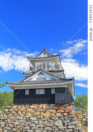 【静岡県】新緑の浜松城 【静岡県】新緑の浜松城 53831632