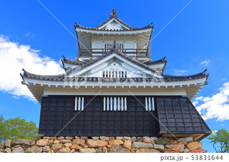 【静岡県】新緑の浜松城 【静岡県】新緑の浜松城 53831644