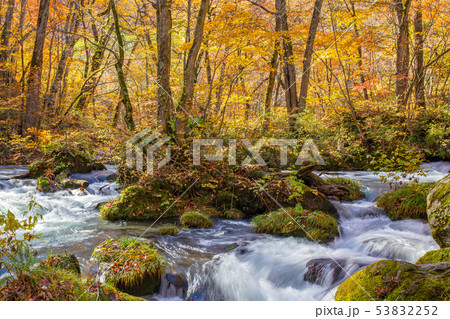 東北青森の秋 紅葉の奥入瀬渓流 九十九島 東北青森の秋 紅葉の奥入瀬渓流 九十九島 53832252