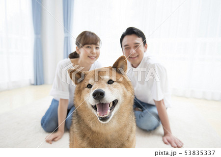柴犬と飼い主の夫婦 53835337