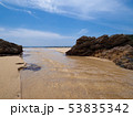 奄美大島　海岸　　ビーチ 53835342