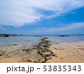 奄美大島　海岸　　ビーチ 53835343
