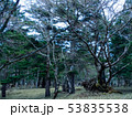 大台ケ原 53835538