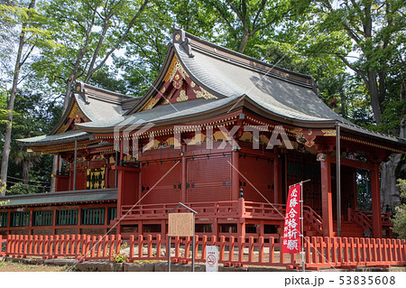 三芳野神社　埼玉県川越市 53835608