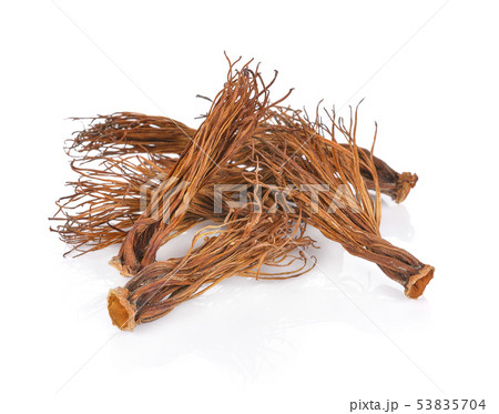 Bombax ceiba isolate on white background Bombax ceiba isolate on white background 53835704