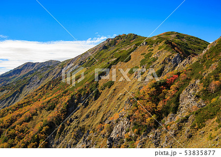 南アルプス  紅葉で色付く荒川岳(悪沢岳) ※千枚岳から望む 南アルプス  紅葉で色付く荒川岳(悪沢岳) ※千枚岳から望む 53835877