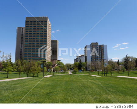 University of Alberta内の広大な敷地 University of Alberta内の広大な敷地 53835984