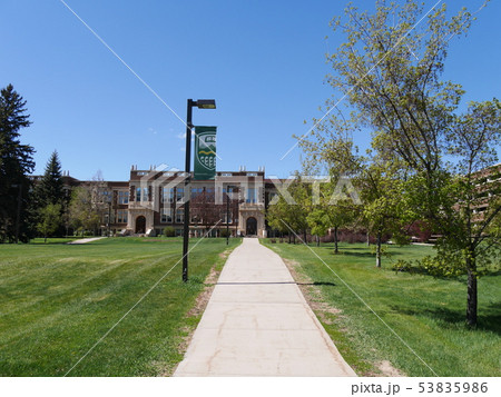 University of Alberta内の敷地と道と旗 University of Alberta内の敷地と道と旗 53835986