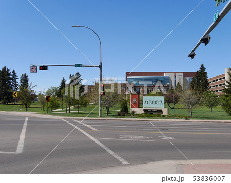University of Albertaの看板 University of Albertaの看板 53836007