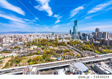 《大阪府》天王寺・大阪都市風景 《大阪府》天王寺・大阪都市風景 53836029