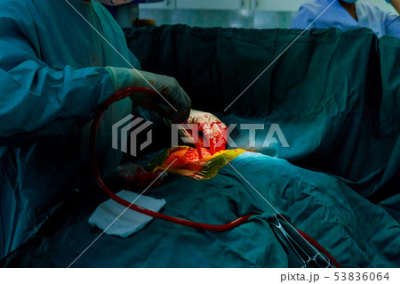 Hospital surgical for cardiovascular emergency surgery center. Hospital surgical for cardiovascular emergency surgery center. 53836064