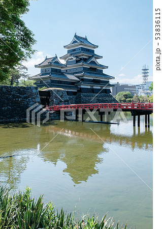 松本城 53836115