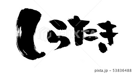 筆文字　しらたき　白滝　sirataki　墨イラスト 53836488