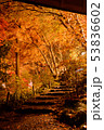 紅葉 53836602