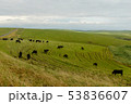 放牧地 53836607