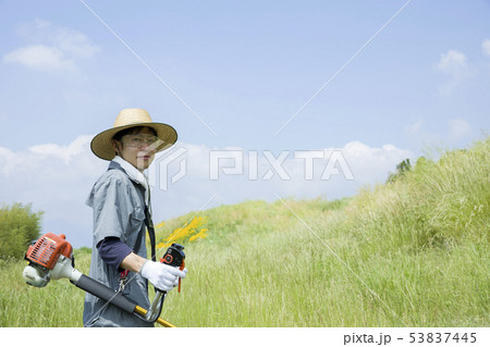 草刈り、除草イメージ 草刈りをする男性 草刈り、除草イメージ 草刈りをする男性 53837445