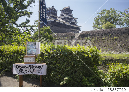 熊本地震復興募金 熊本地震復興募金 53837760