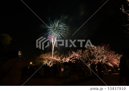 夜梅まつり 夜梅まつり 53837910