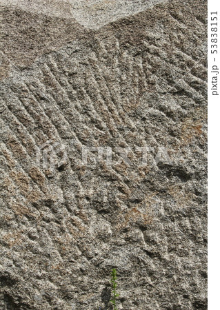 荒い岩肌 荒い岩肌 53838151