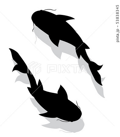 Fish Silhouettes Epsのイラスト素材 5345