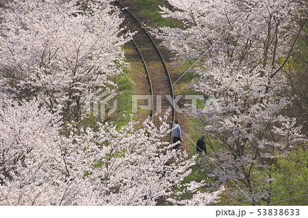 線路内に不法侵入する高齢者「愛好家」 線路内に不法侵入する高齢者「愛好家」 53838633