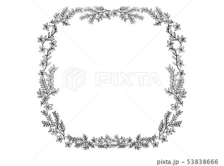 草花のフレーム オーナメント 白黒 ナチュラルテイストの飾り罫 四角 ベクターデータのイラスト素材